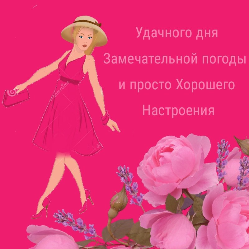   ,    . - 29  2021  13:53 - 5