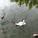 ���� ������, ������ ���, 64 ���� - ��������� 20 ���� 2021 � ������ ����� �� �������