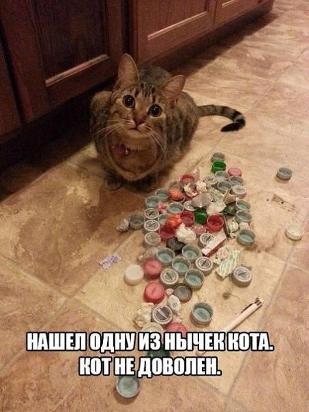    - 27  2021  21:28