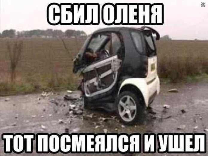 �������� ����������� - 16 ������ 2021 � 07:26