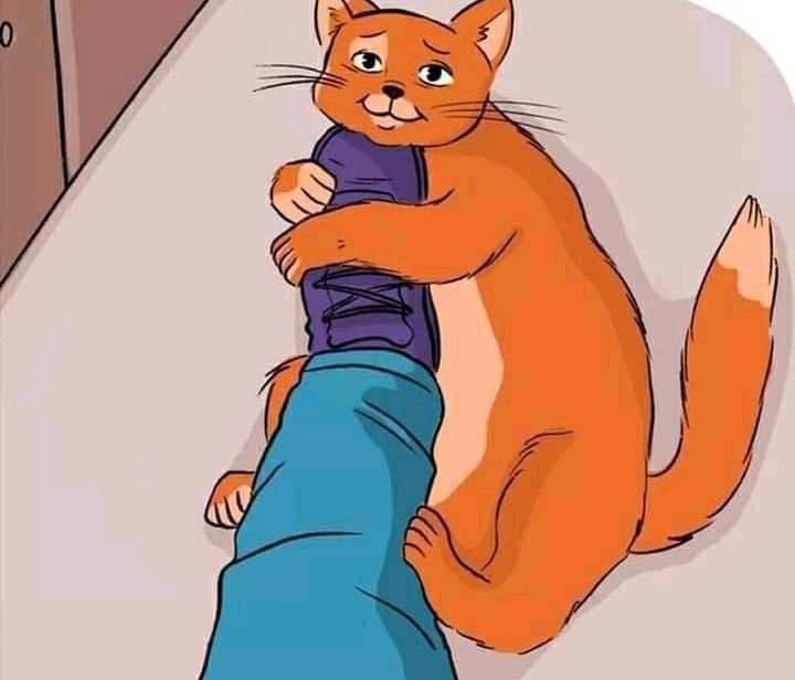      ,     .      . - 3