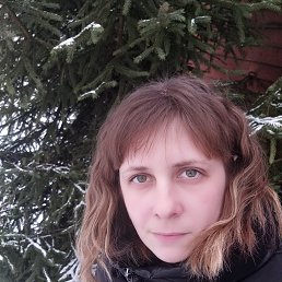 ����, ������, 40 ���