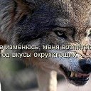 ���� ������, ���� - ��������� 24 ������ 2021 � ������ ���� ����������