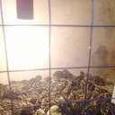 ���� Huseyn Azerbaydjan, ����, 52 ���� - ��������� 14 ��� 2021 � ������ ���� ����������