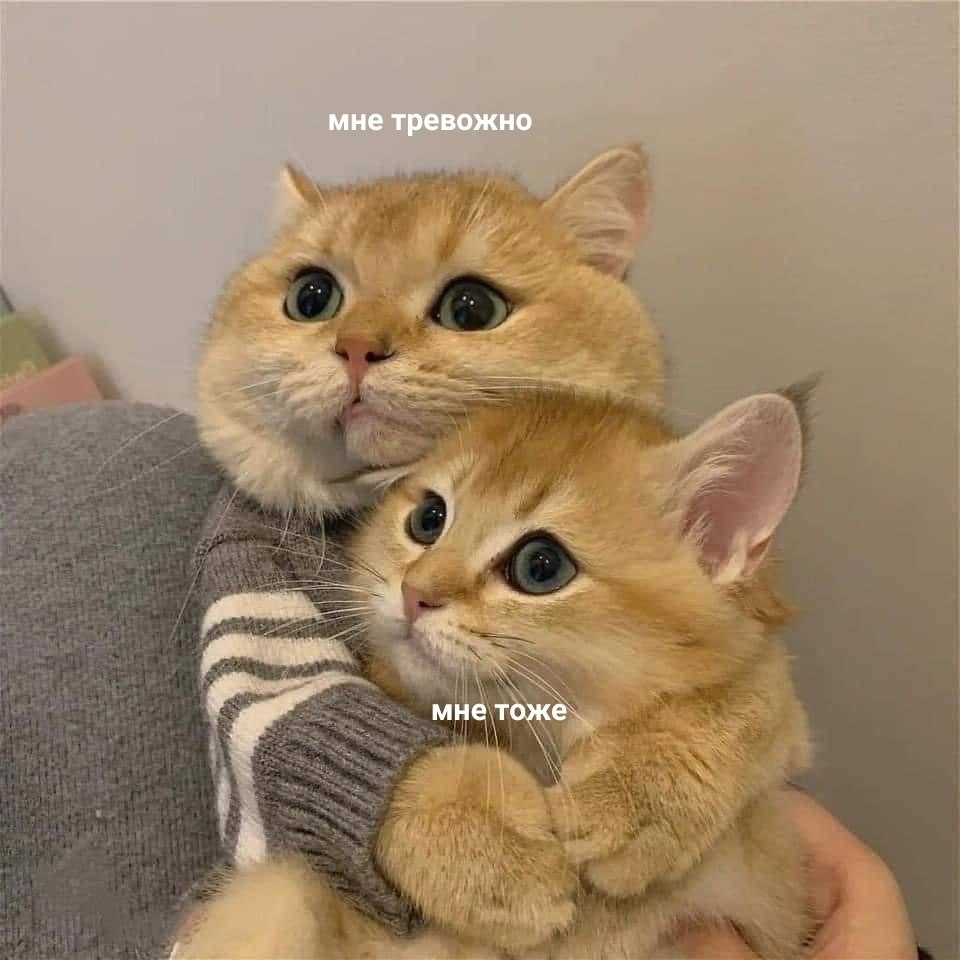 * *