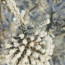 ���� ���������, ����� - ��������� 29 ������� 2021 � ������ ��������