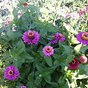 ���� ������, �������, 63 ���� - ��������� 13 ���� 2021 � ������ ���� ����������