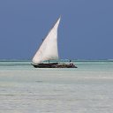 ���� ����, �����-���������, 56 ��� - ��������� 9 ��� 2021