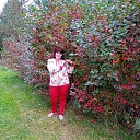 ���� �������, �����-���������, 55 ��� - ��������� 18 �������� 2021 � ������ ���� ����������