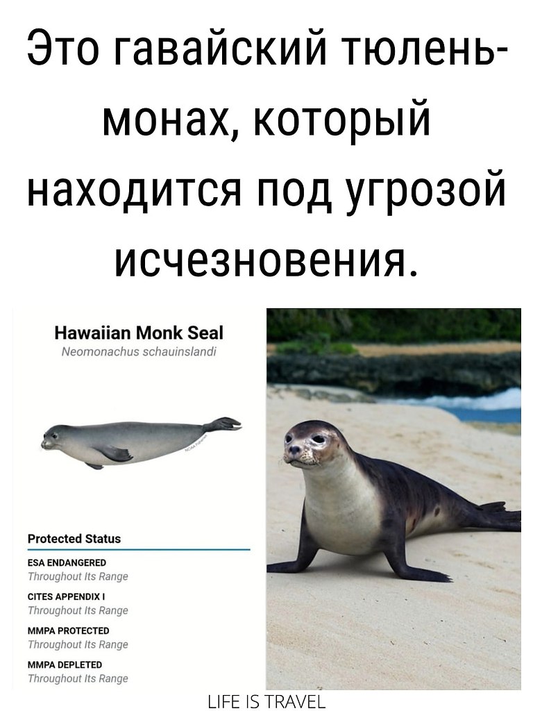 ? - 2
