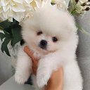 ���� ����, �������� - ��������� 29 ������� 2021 � ������ ���� ����������