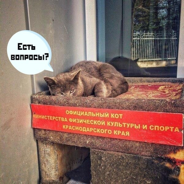  )))