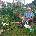 ���� �������, ��������, 74 ���� - ��������� 21 ���� 2021 � ������ ���� ����������