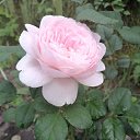 ���� �������, ����� - ��������� 24 ���� 2021 � ������ ���� ����������