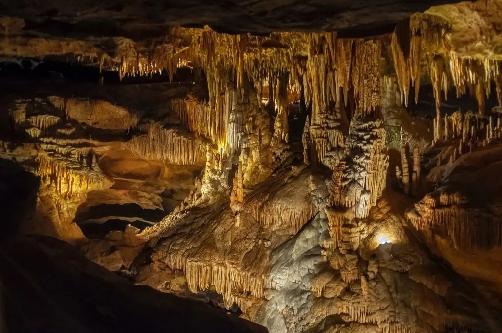 ������� (Hang Son Doong) - ����� ������� ������ � ����. �������.