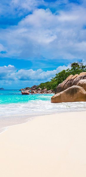      #@apple.inside.        - 6