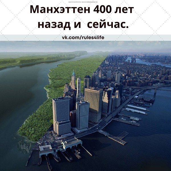 Густые леса вместо небоскребов! Как выглядел Манхэттен 400 лет назад, прежде чем превратиться в ...