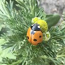 ���� �������, �����-���������, 59 ��� - ��������� 17 ���� 2021 � ������ ������ ��������