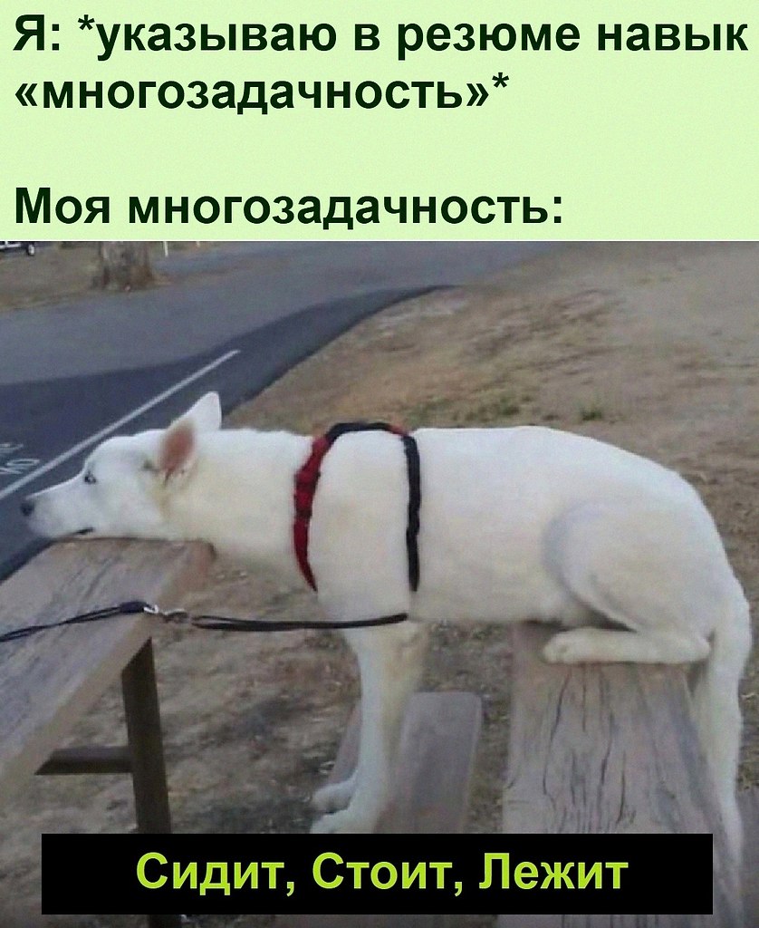  :D - 8  2021  14:41