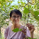 ���� ��������, ���������, 53 ���� - ��������� 20 ������� 2021 � ������ ���� ����������