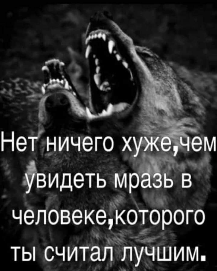 ♥♥ - 9  2021  22:28