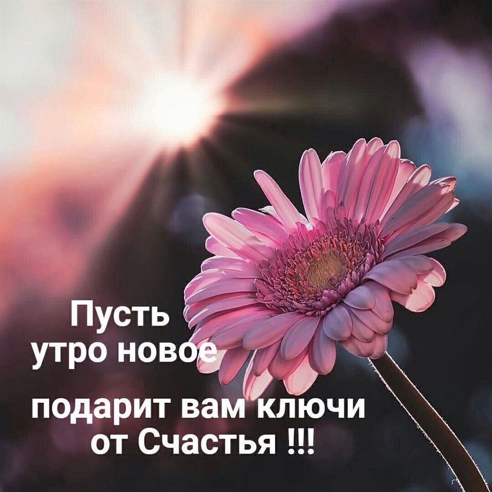 Пусть в твоем уютном и теплом доме всегда будет полный достаток и комфорт. Желаю тебе успешной ...