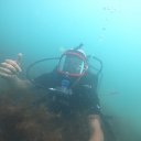 ���� �����, �����-���������, 42 ���� - ��������� 15 ������ 2022