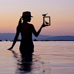 ���� �����, ���������, 62 ���� - ��������� 7 ������� 2021