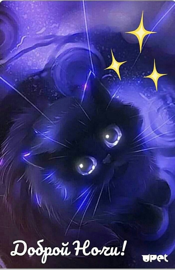 ����������� � ���������, �������� �� ������ ����. - 22 ���� 2021 � 21:45 - 9