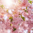 ���� ������� 타티아나, ���� - ��������� 20 ������ 2021 � ������ ���� ����������