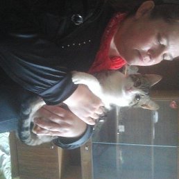 ��������, ������, 51 ���