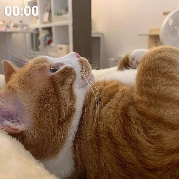 ��� - ����, � �������� �� ���������� - 4