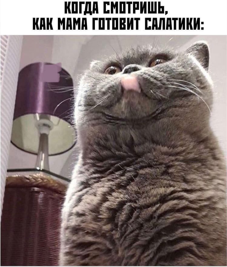 � ���� ������ ������ ���� �� ������� ������.