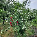 ���� ����, ������, 58 ��� - ��������� 17 ������� 2021 � ������ ����� 2021�