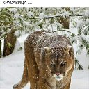 ���� �������, ������, 61 ��� - ��������� 26 ���� 2021