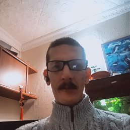 ������, ������, 50 ���