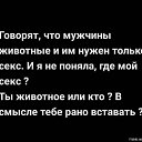 ���� �����, ����, 38 ��� - ��������� 2 ������ 2021 � ������ ������ ��������