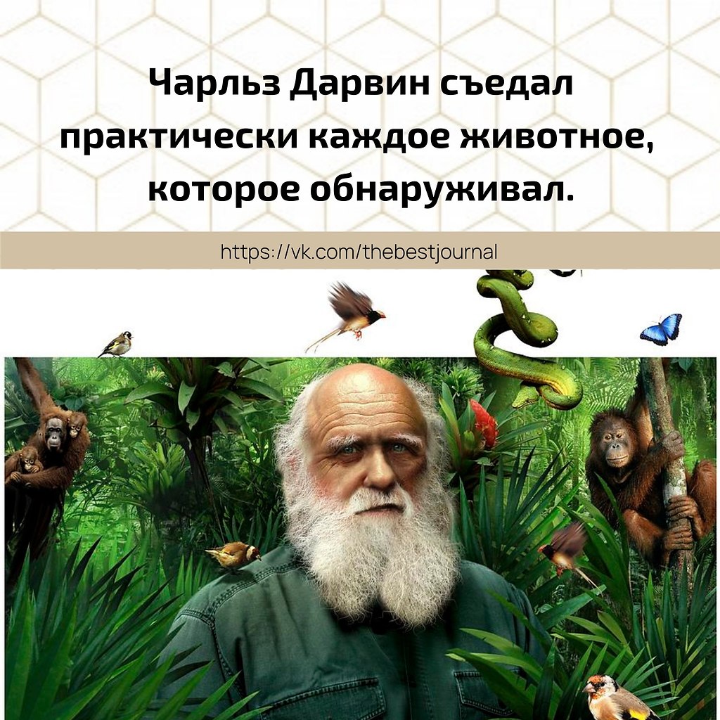 BEST | , ,  - 2  2021  08:08