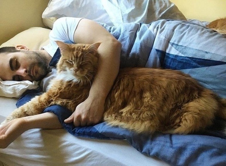 ���� ������ ���� ����� :) ��������� � ���������: