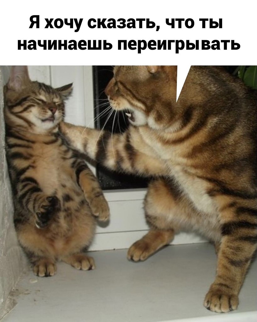 ����� ������ ����������: ������� ����������