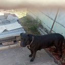 ���� ����, ����, 47 ��� - ��������� 23 �������� 2021 � ������ ���� ����������