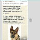 ���� �����, ���������, 57 ��� - ��������� 17 ������� 2021 � ������ ������ ��������