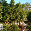 ���� ������, ������ - ��������� 5 �������� 2021 � ������ ���� ����������