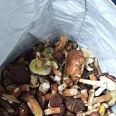 ���� �������, ������, 52 ���� - ��������� 15 �������� 2021 � ������ ���� ����������