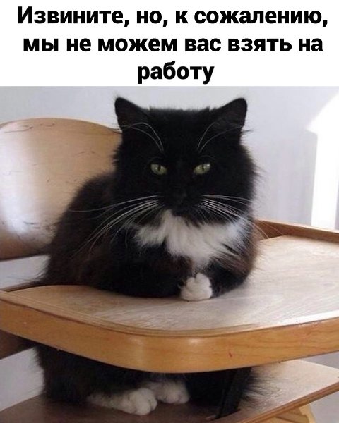 Интересный способ получить работу, стоит попробовать сделать так же: Шальная