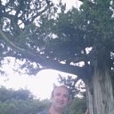  Sosed, , 52  -  15  2021    