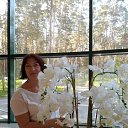 ���� ����, ������ ������� - ��������� 29 ��� 2021 � ������ �������