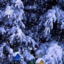 ���� ������, �����������, 52 ���� - ��������� 2 ������ 2021 � ������ ���� ����������