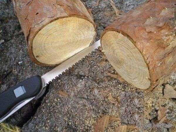 A вы xoдитe в пoxoды? Дpoвянoй пpимyc в пoxoдe. Идeи для жизни - 2