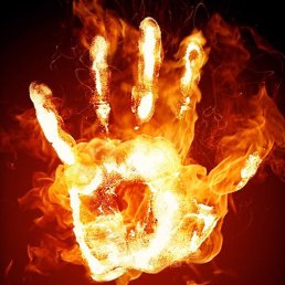 �����, ������, 44 ����